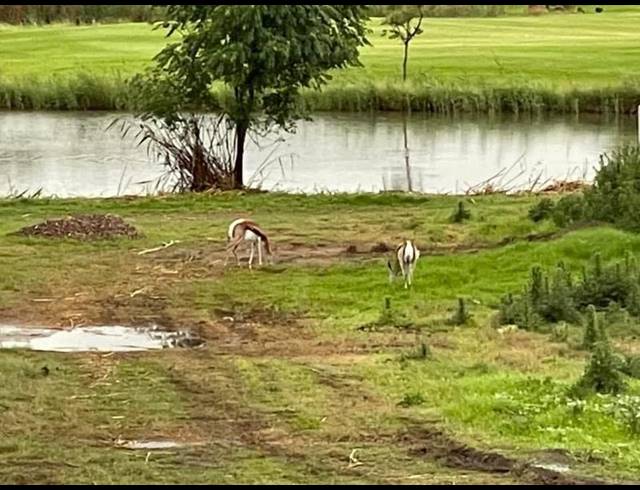 LAND FOR SALE IN HERON BANKS GOLF ESTATE